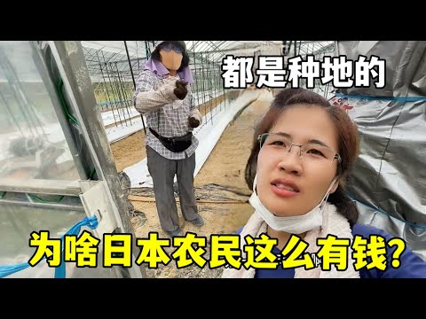 暗影女王归,性感魔女盔,美腿绽放无,2026,世界杯赛程FIFA,FIFA世足,2026外围赛,世界杯门票