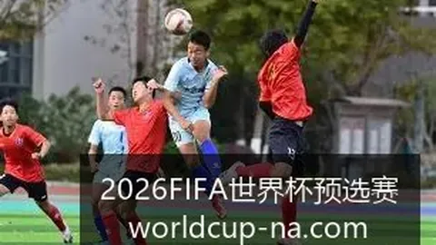 世界杯惊现神秘买球团，赛事公正引疑虑