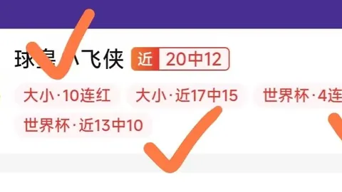 2026FIFA世界杯预选赛2026FIFA世界杯预选赛